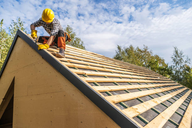 Best Residential Roofing Contractor  in Albany, GA